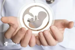 试管婴儿辅助孵化流程详解，这些风险和不足要提前知晓