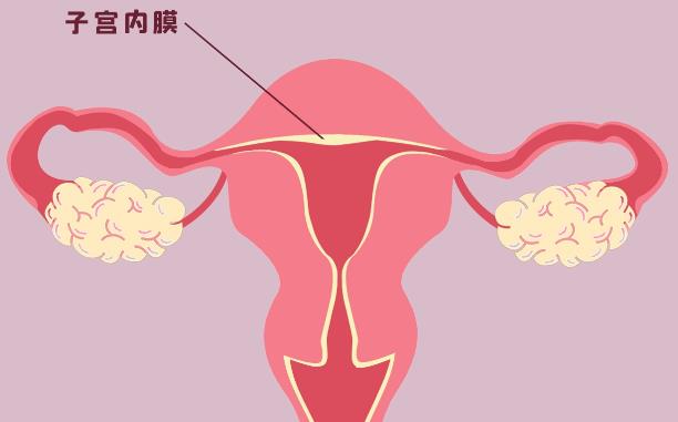 子宫内膜薄能正常怀孕吗