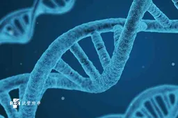 染色体变异有哪些类型，盘点变异引起的遗传病项目