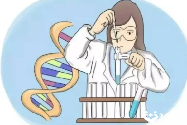 基因突变能不能做三代试管婴儿排除?看完你就知晓答案