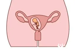 输卵管不通畅能不能做试管婴儿？靠不靠谱一看便知