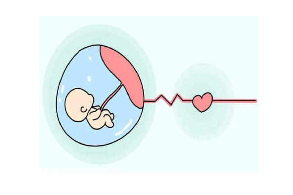试管婴儿移植技术简介，移植风险与成功率供参考