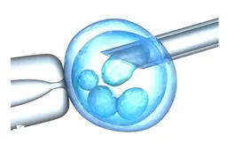 三代试管取卵后多长时间可以配成胚胎，这些试管知识你需要知道