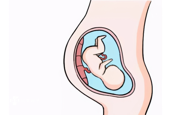 孕期知识科普，胎盘前壁和后壁的区别一览