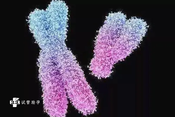 做试管查染色体的作用分析，常用的查染色体方法一览