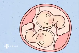 试管婴儿可以生双胞胎吗，单次或多次植入要看情况而定