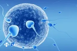 雌二醇水平3000会影响胚胎着床吗，试管婴儿移植有这些注意事项