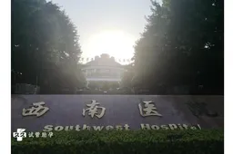 重庆西南医院试管婴儿价格，2024最新助孕费用出炉