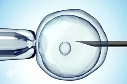 人工授精和试管婴儿技术概述，成功率与优缺点详解