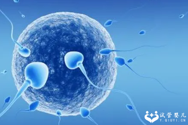 34岁女性做试管能成功吗，子宫卵巢功能也会影响成功率