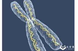 三代试管染色体异常是什么意思，这些方法能降低异常的风险