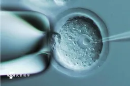 做三代试管卵子透明带异常是什么原因，这些方法可帮助解决问题