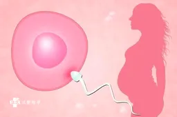 残角子宫如何怀孕，不妨尝试三代试管技术