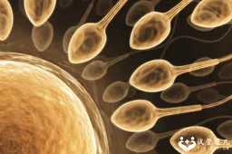 试管婴儿一级胚胎少的原因分析，胚胎发育不良是影响因素之一