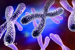 染色体倒位必须做三代试管才能避免遗传吗，三代试管技术有这些优势