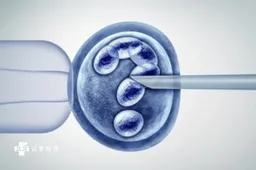 试管婴儿促排攒胚胎的流程梳理，攒够多个再移植更容易成功