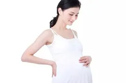 孕期健康指南：怀孕2个月后要留意这些事情