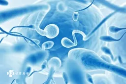 三代试管对精子活力有什么要求，饮食、针灸可帮助提高精子活力
