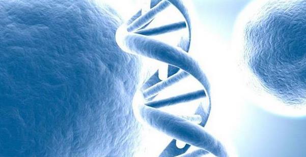女人染色体有问题可以通过做试管避免遗传吗
