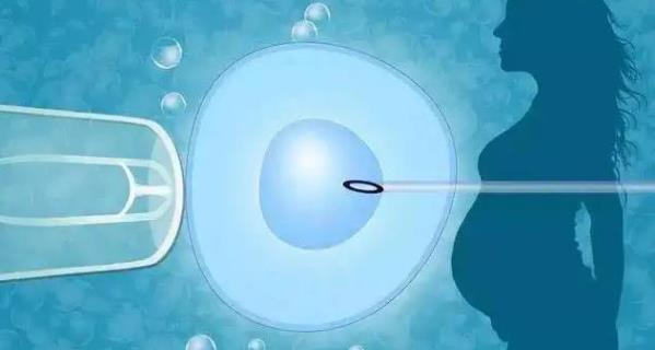 人工移植胚胎多长时间能着床