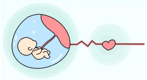 胚胎移植过程详细介绍
