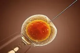 供卵试管成功率影响因素解析，多半和女性年龄有关