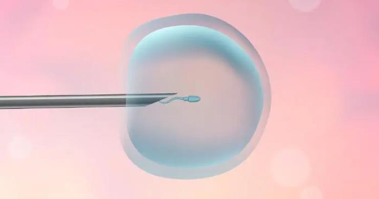试管婴儿移植冻胚的步骤和费用是怎样的
