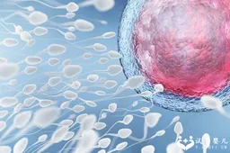 为什么都说试管胚胎质量比自然怀孕好？一文看懂双方优势对比