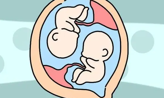 三代试管做双生子的条件，胚胎质量和卵巢功能好才能做