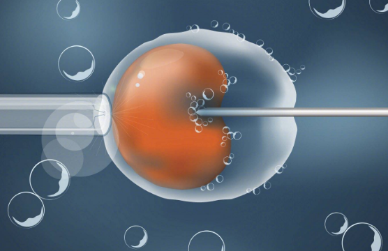 做试管婴儿人工周期移植冻囊胚孕酮的正常范围是多少？