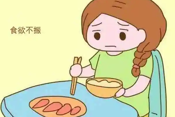 卵泡成熟会食欲不振