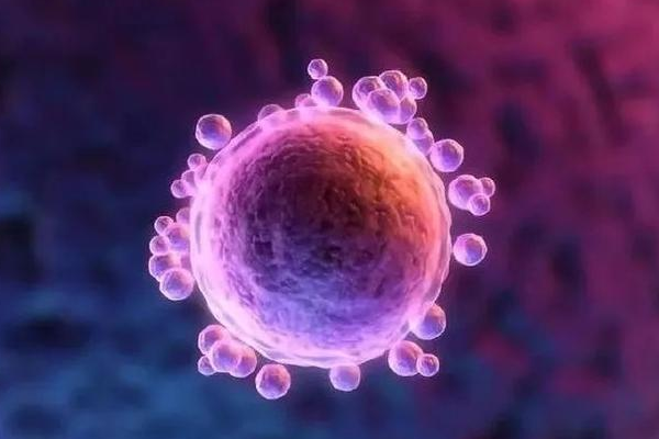 卵泡发育正常不会自行排出