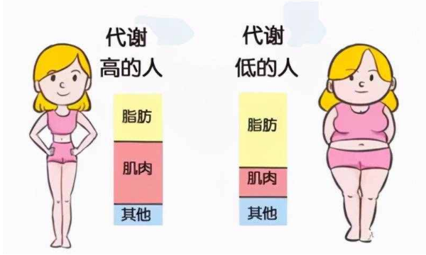 卵泡不成熟要查代谢情况