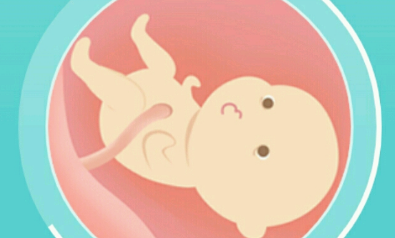 宝宝股骨长与孕周对照表大公开，孕12周就有7mm左右了