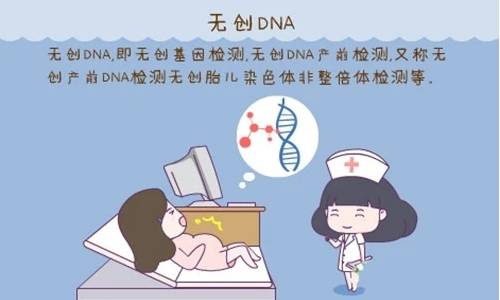 试管双胞胎无创dna通知复查