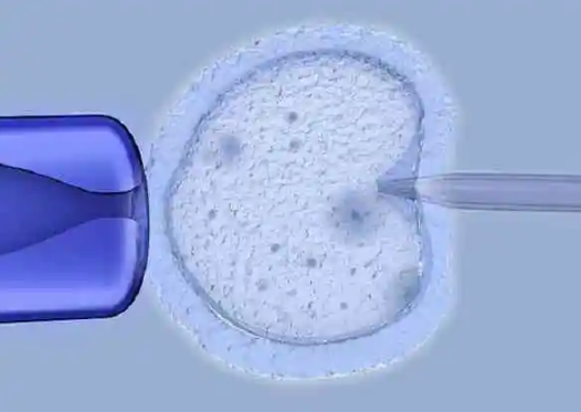 吃环孢素可以提高胚胎成功率